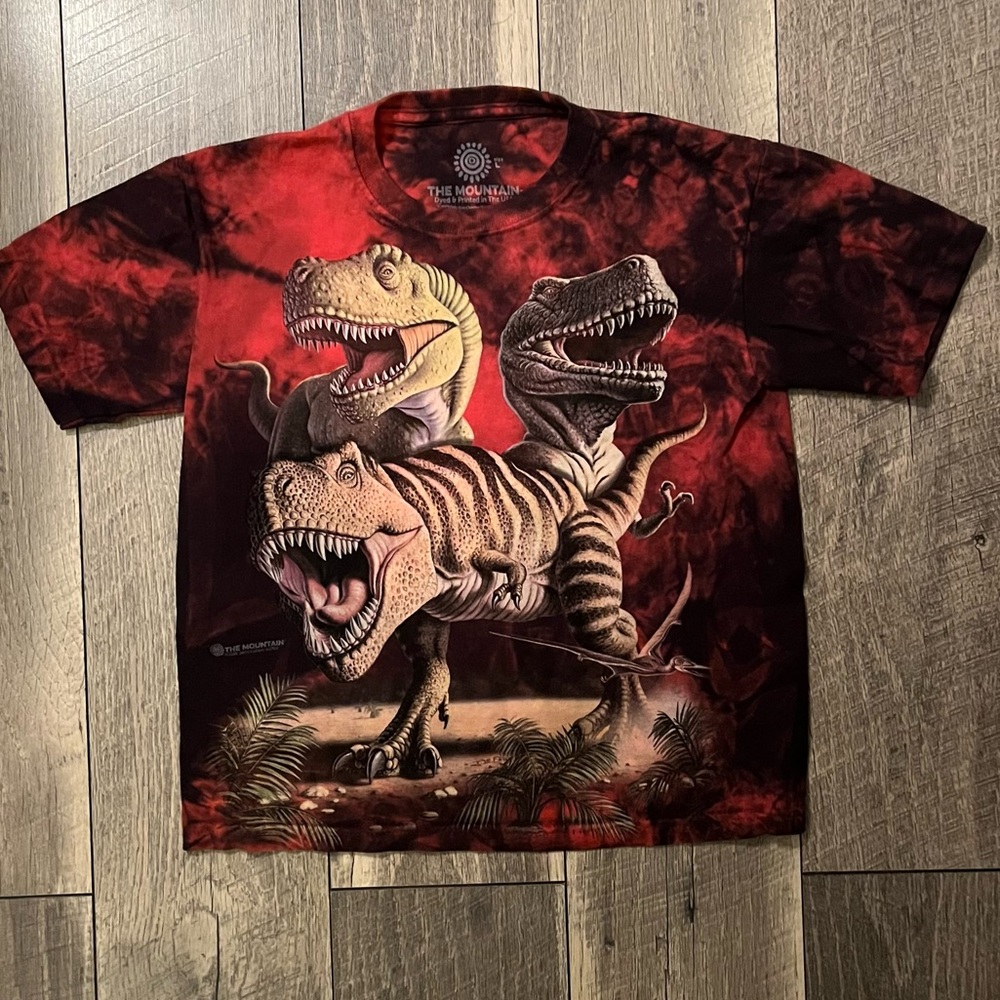💙The Mountain Boy’s Dinosaur T-Shirt Size Large